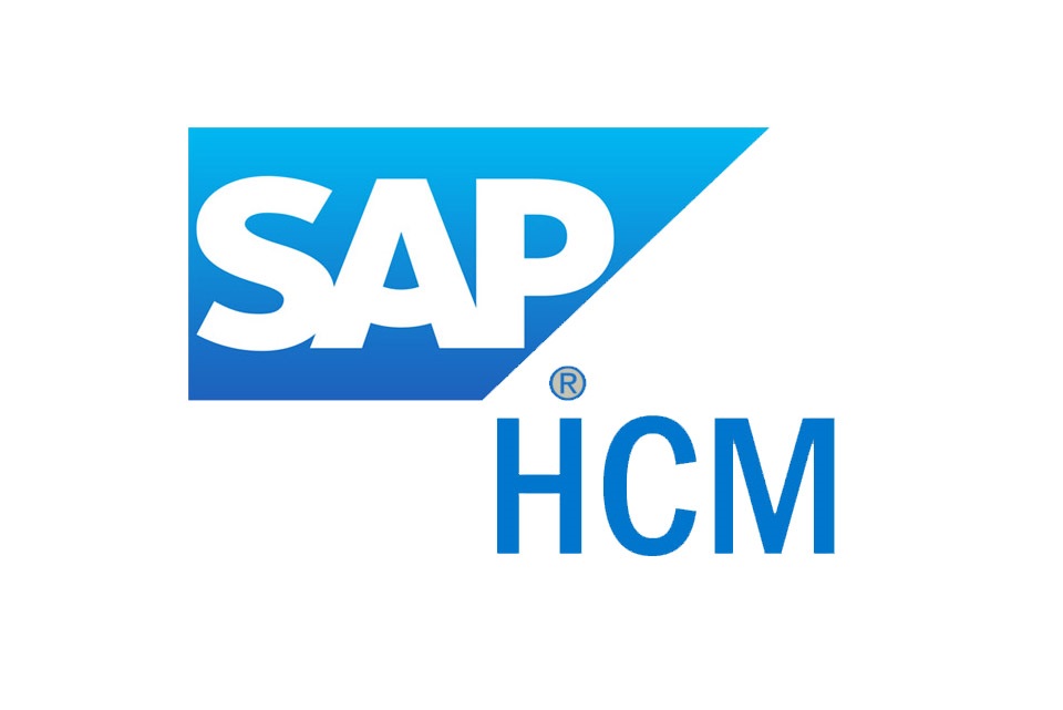 SAP HR HCM Support services