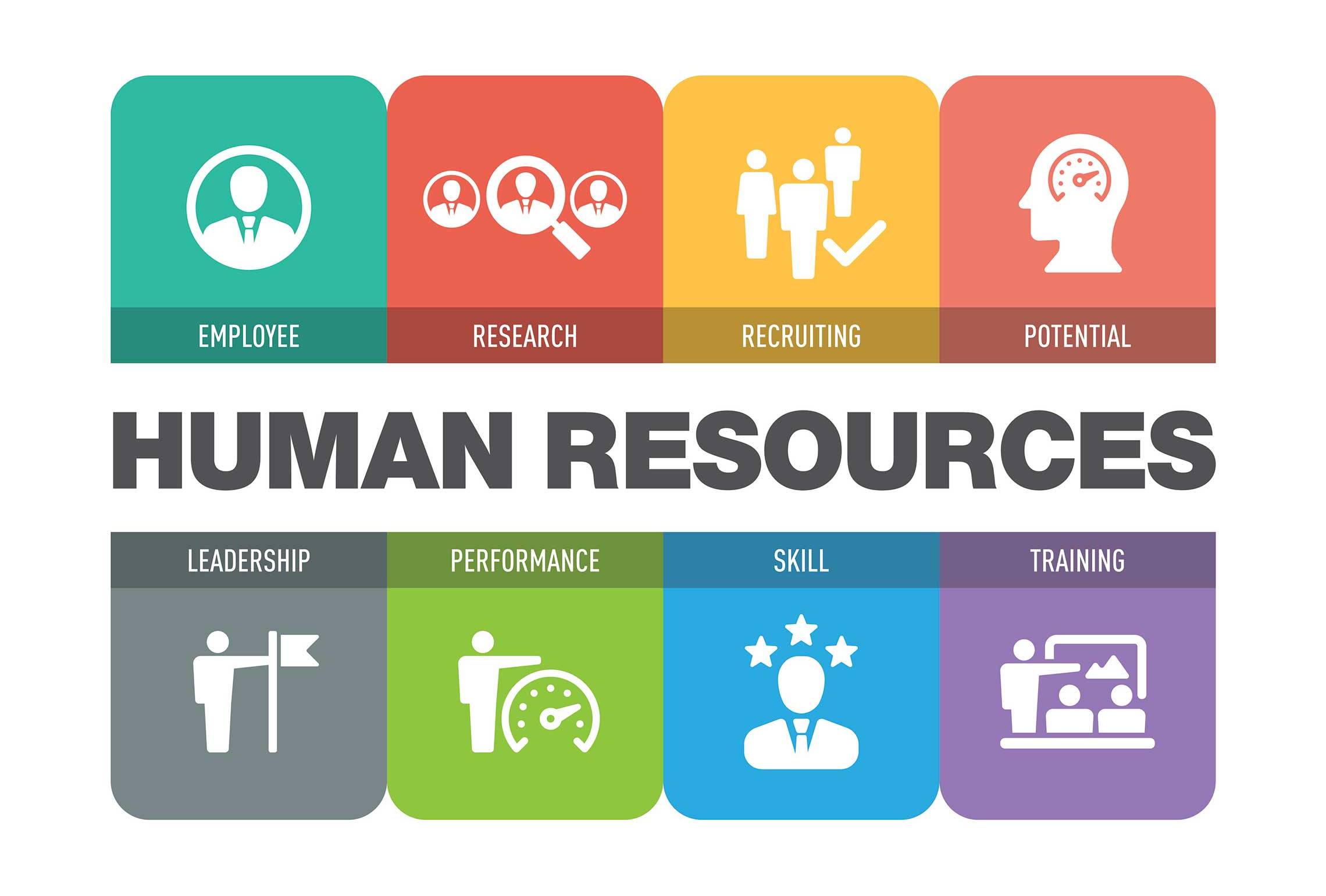 Other HR related support services